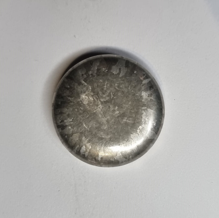 Macro Etched Tin Metal Disk (Crystalline Structure)