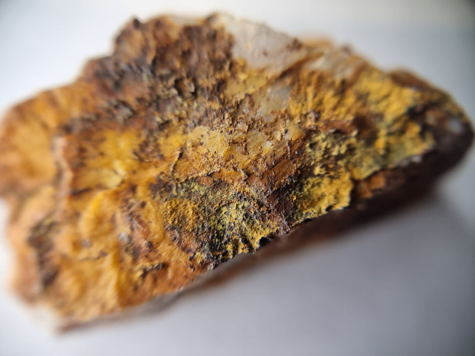 Gold in quartz,  Berringa Victoria Australia   25185