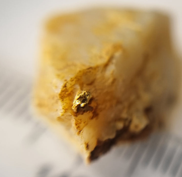 Gold in quartz,  Berringa Victoria Australia   25187