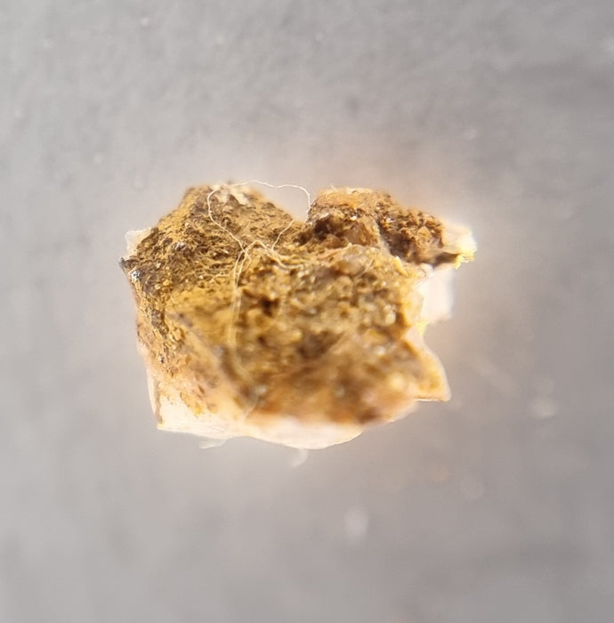 3 Specimens of Gold in Quartz - Berringa Victoria Australia   25194