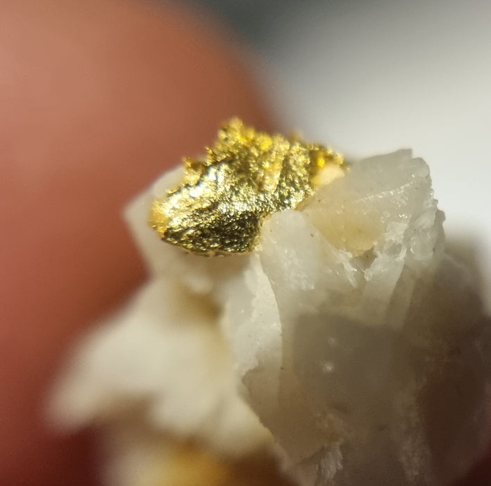 Gold in quartz - Berringa Victoria Australia   25198