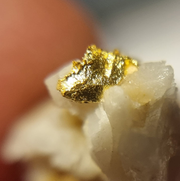 Gold in quartz - Berringa Victoria Australia   25198