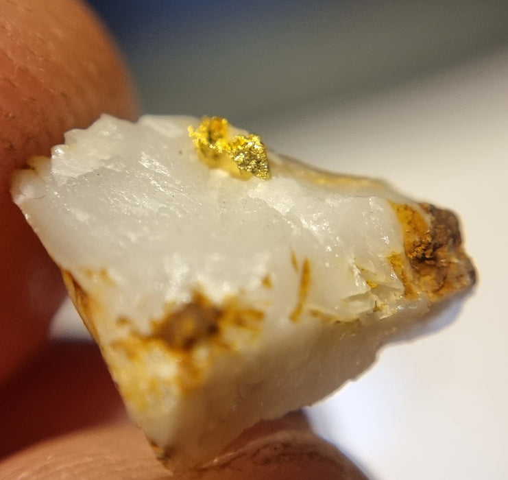 Gold in quartz - Berringa Victoria Australia   25200