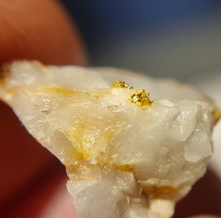 Gold in quartz - Berringa Victoria Australia   25200