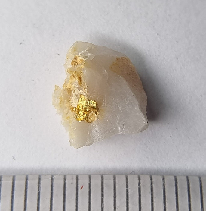 Gold in quartz - Berringa Victoria Australia   25203
