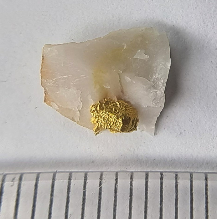 Gold in quartz - Berringa Victoria Australia   25204