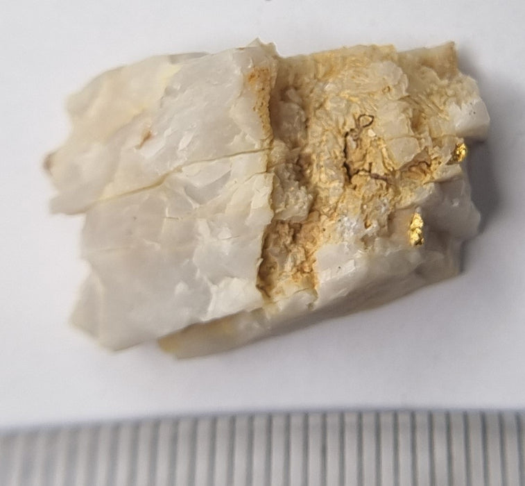 Gold in quartz - Berringa Victoria Australia (25207)