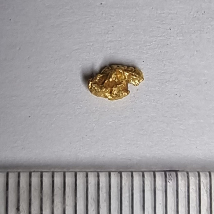 Gold mini nugget - Berringa Victoria Australia   26212